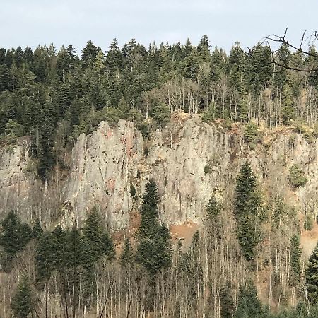 Ferienwohnungen Beilerstaedtle Oppenau Dış mekan fotoğraf